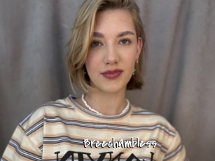 Breechambless