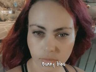 Bunny_bleu