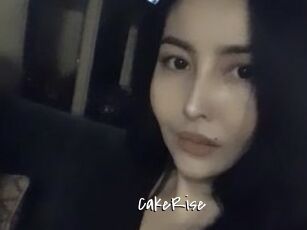 CakeRise