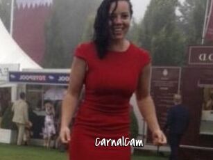 CarnalCam