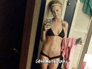 Cashmerebunny
