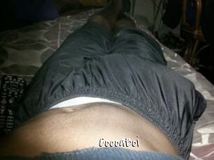 CocoaBoi