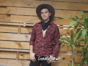 Conall_Hawk