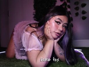 Conie_fox