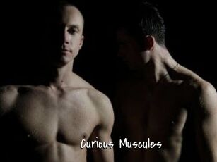 Curious_Muscules