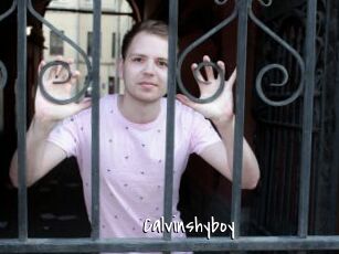 Calvinshyboy