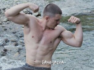 Caseynova