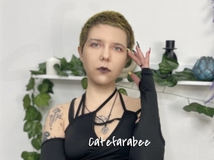 Catefarabee