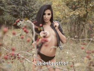 Celesteporter