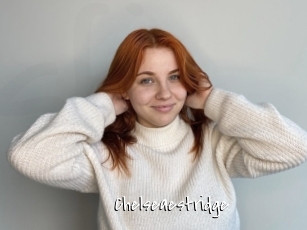 Chelseaestridge
