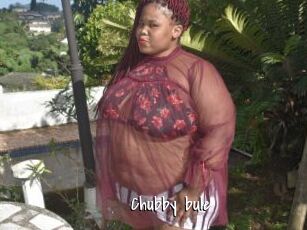 Chubby_bule