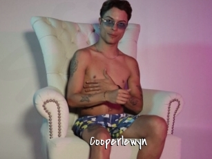 Cooperlewyn