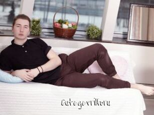 Cutegevrilforu