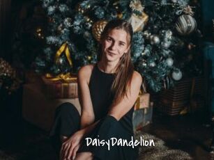 DaisyDandelion