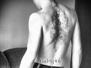 DarkSpirit