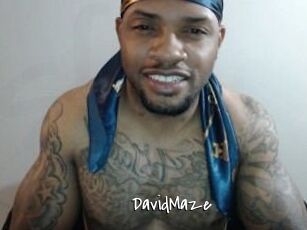 David_Maze