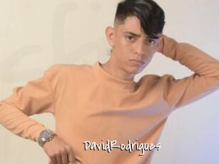 DavidRodrigues