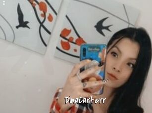 DinaCarterr
