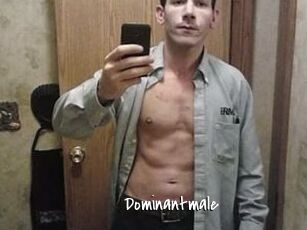 Dominantmale