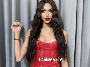Dahliaamelia