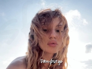Daisyburge