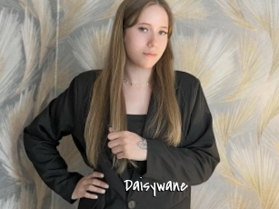 Daisywane