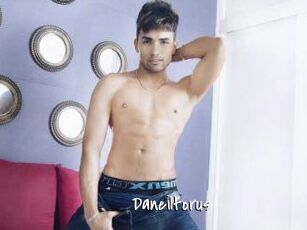 Daneil_torus