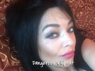 Dangerous_wild_cat