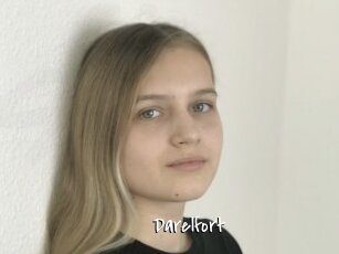 Darelfort