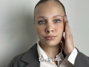 Darellebach