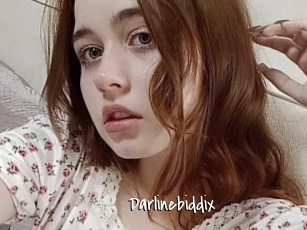 Darlinebiddix