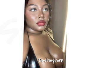 Destinytorn