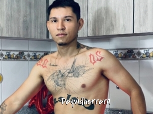 deyvidherrera Sexy Footjobs