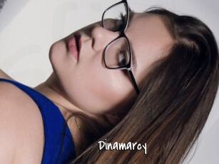 Dinamarcy