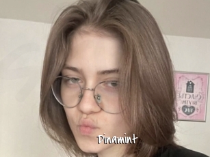 Dinamint