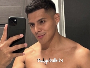Dodgebullets