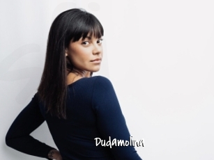 Dudamolina
