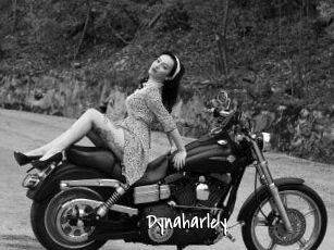 Dynaharley