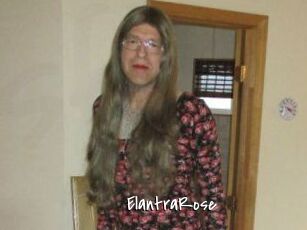 Elantra_Rose