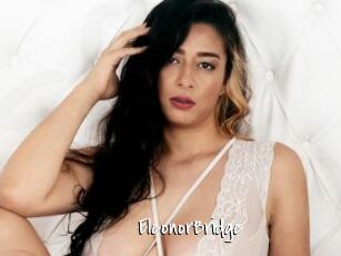 EleonorBridge