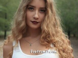 EveFromDream Sexy Footjobs