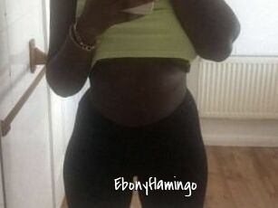 Ebony_flamingo