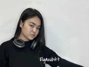 Elgacubitt
