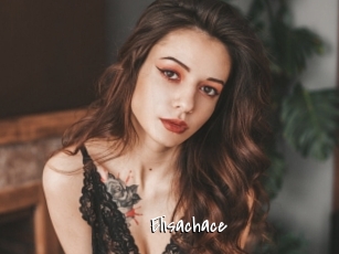 Elisachace