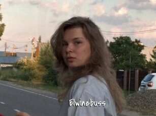 Elwinebuss