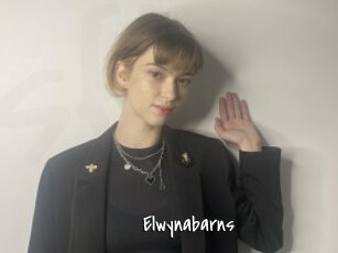 Elwynabarns