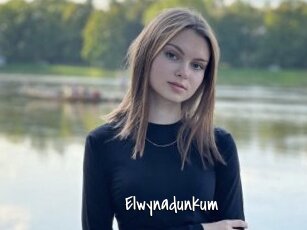 Elwynadunkum