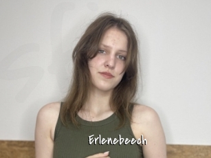 Erlenebeech