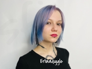Erlinadiggle
