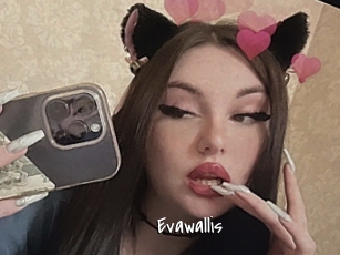 Evawallis